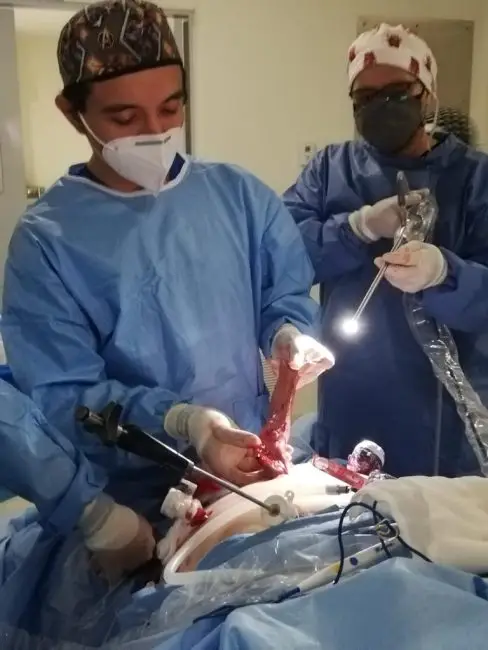 What Happens Before the Surgery?