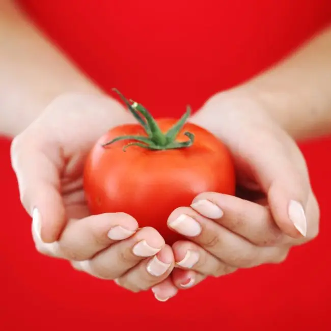 pre-op tomato basil soup recipe